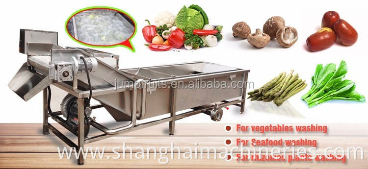 304/316 stainless steel fruit vegetable washer cleaning machine